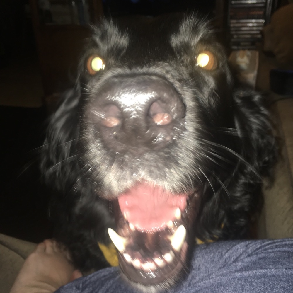 Meet your Posher, Lori